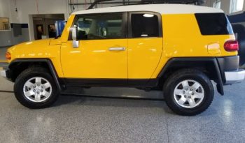 2010 Toyota FJ Cruiser full