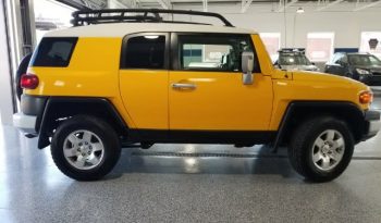 2010 Toyota FJ Cruiser full