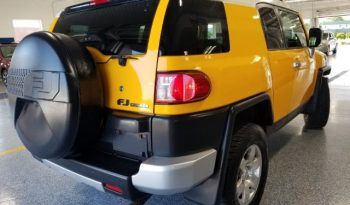 2010 Toyota FJ Cruiser full