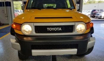 2010 Toyota FJ Cruiser full