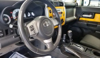 2010 Toyota FJ Cruiser full