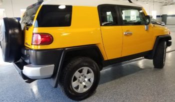 2010 Toyota FJ Cruiser full