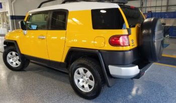 2010 Toyota FJ Cruiser full