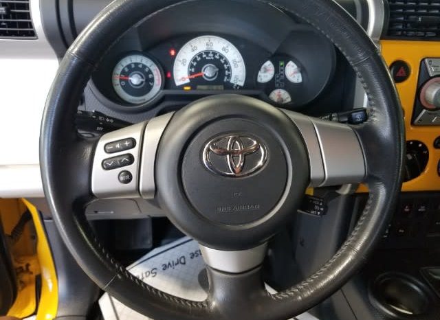 2010 Toyota FJ Cruiser full