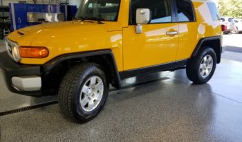 2010 Toyota FJ Cruiser full