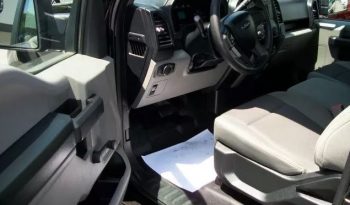 2017 Ford F-150 XL Single Cab full
