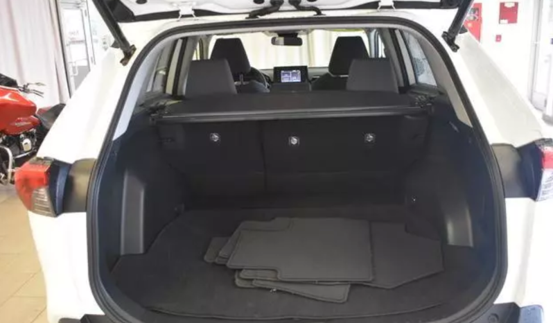 2019 Toyota RAV4 XLE full