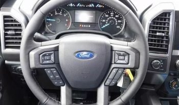 2020 Ford F-150 XLT Crew Cab full