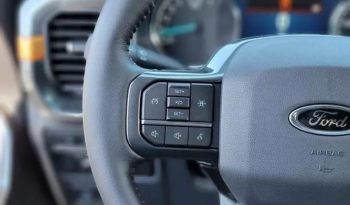 2022 Ford F-150 Tremor full