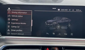 2023 BMW X6 xDrive40i full