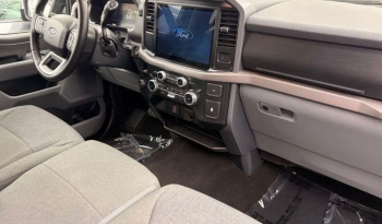 2025 Ford F-150 XLT full
