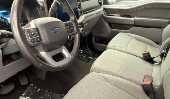 2025 Ford F-150 XLT full