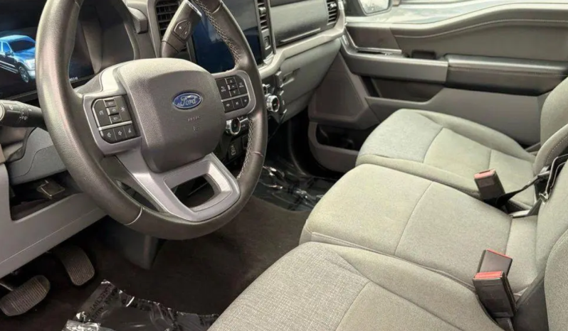 2025 Ford F-150 XLT full